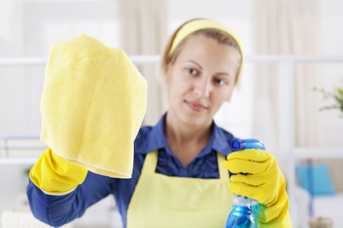 Local window cleaning service for Sutton homes and businesses
