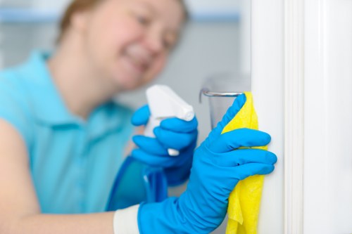 Professional oven cleaning appointment for Sutton households and businesses