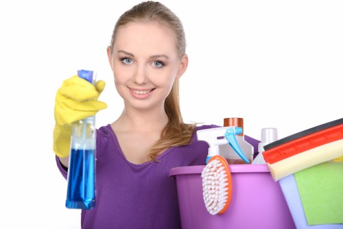 Calendar and booking details for a cleaning appointment