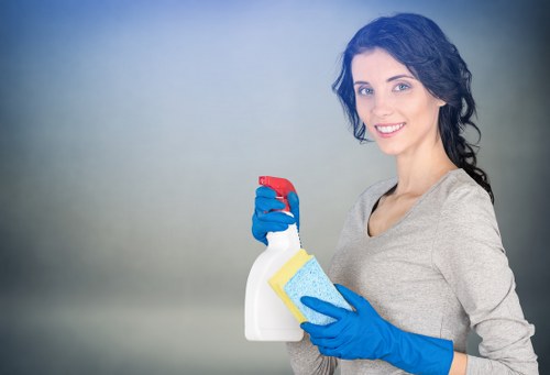Deep rug cleaning process for stained and dusty rugs